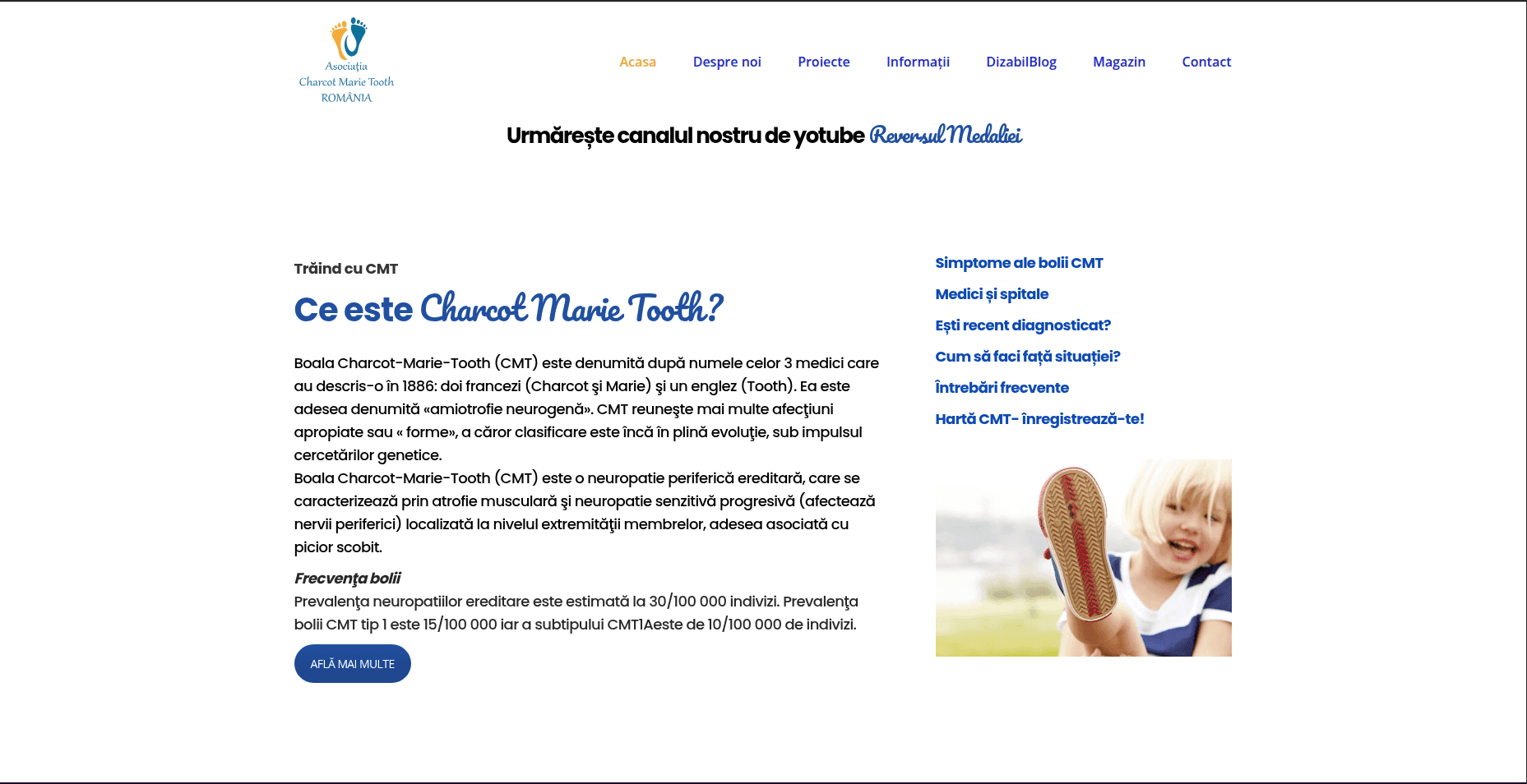 Asociatia CMT website mockup